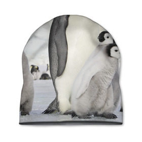 Шапка 3D с принтом Пингвин и пингвинята в Рязани, 100% полиэстер | универсальный размер, печать по всей поверхности изделия | айсберг | антарктида | антарктика | арктика | буревестник | глупый | императорский | клюв | королевский | крылья | ласты | лёд | линукс | океан | пилигрим | полюс | птица | север | снег | умка | фрак