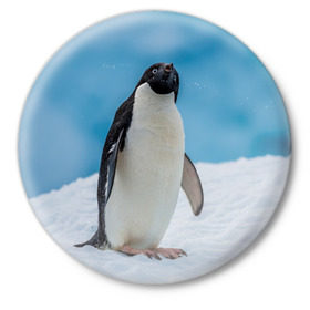 Значок с принтом Пингвин на айсберге в Рязани,  металл | круглая форма, металлическая застежка в виде булавки | айсберг | антарктида | антарктика | арктика | буревестник | глупый | императорский | клюв | королевский | крылья | ласты | лёд | линукс | океан | пилигрим | полюс | птица | север | снег | умка | фрак