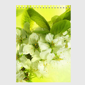 Скетчбук с принтом Цветы яблони в Рязани, 100% бумага
 | 48 листов, плотность листов — 100 г/м2, плотность картонной обложки — 250 г/м2. Листы скреплены сверху удобной пружинной спиралью | белый | весна | дерево | зеленый | природа | растения | цветы | яблоня