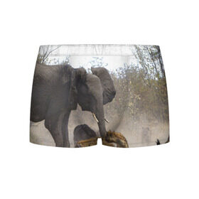 Мужские трусы 3D с принтом Гиены охотятся на слона в Рязани, 50% хлопок, 50% полиэстер | классическая посадка, на поясе мягкая тканевая резинка | африка | африканский | бивни | большой | гигант джунгли | гиены | индийский | индия | лесной великан | мамонт | огромный | охота | саванна | сафари | серый | слон | слониха | стадо | уши | хобот