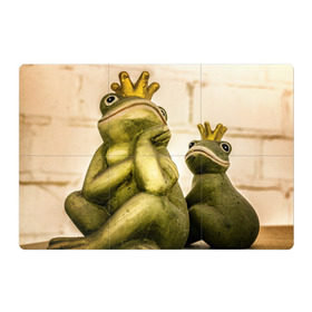Магнитный плакат 3Х2 с принтом Лягушка в Рязани, Полимерный материал с магнитным слоем | 6 деталей размером 9*9 см | жаба | животные | лягушка | природа