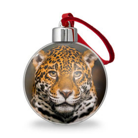 Ёлочный шар с принтом Jaguar в Рязани, Пластик | Диаметр: 77 мм | глаза | дикая кошка | кошка | леопард | сафари | хищник | ягуар