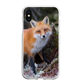 Чехол для iPhone XS Max матовый с принтом Лес в Рязани, Силикон | Область печати: задняя сторона чехла, без боковых панелей | fox | red | лиса | лисенок | рыжая