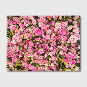 Альбом для рисования с принтом Розовый рай в Рязани, 100% бумага
 | матовая бумага, плотность 200 мг. | Тематика изображения на принте: бутон | лепестки | роза | розовый | розочка | цветок | цветы