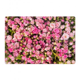 Магнитный плакат 3Х2 с принтом Розовый рай в Рязани, Полимерный материал с магнитным слоем | 6 деталей размером 9*9 см | Тематика изображения на принте: бутон | лепестки | роза | розовый | розочка | цветок | цветы