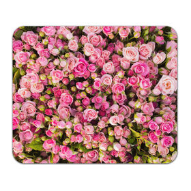 Коврик прямоугольный с принтом Розовый рай в Рязани, натуральный каучук | размер 230 х 185 мм; запечатка лицевой стороны | бутон | лепестки | роза | розовый | розочка | цветок | цветы