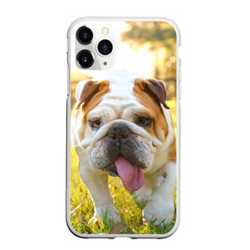 Чехол для iPhone 11 Pro матовый с принтом Funny Dog в Рязани, Силикон |  | dog | английский бульдог | пес | собака