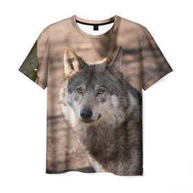 Мужская футболка 3D с принтом Серый волк в Рязани, 100% полиэфир | прямой крой, круглый вырез горловины, длина до линии бедер | аука | бирюк | волк | волчара | волчица | волчок | глаза | животное | животные | зверь | зеленые | койот | лес | млекопитающее | природа | санитар леса | серый | уши | фауна | хищник | черный | шакал