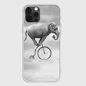 Чехол для iPhone 12 Pro Max с принтом Hipster Bike в Рязани, Силикон |  | elephant | hipster | индия | йога | слон | хипстер