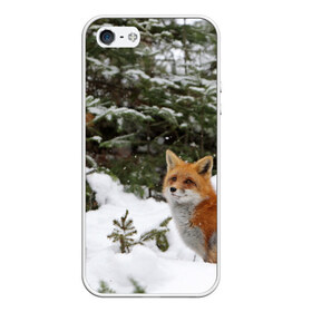 Чехол для iPhone 5/5S матовый с принтом Лиса в зимнем лесу в Рязани, Силикон | Область печати: задняя сторона чехла, без боковых панелей | fox | животное | зверь | красивая | лес | лис | лиса | лисенок | лисица | лисичка | мех | патрикеевна | песец | плутовка | прикольная | природа | рыжая | рыжий цвет | сказка | хвост | хитрая | хищник