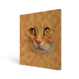 Холст квадратный с принтом Котик в Рязани, 100% ПВХ |  | животные | кот | котенок | котик | кошка