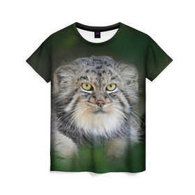 Женская футболка 3D с принтом Манул в Рязани, 100% полиэфир ( синтетическое хлопкоподобное полотно) | прямой крой, круглый вырез горловины, длина до линии бедер | всеядный | детеныш | дикие | животные | звери | зверята | кот | манул | медведь | хищник