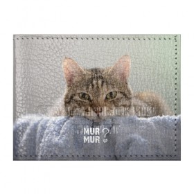 Обложка для студенческого билета с принтом мур мур в Рязани, натуральная кожа | Размер: 11*8 см; Печать на всей внешней стороне | cat | кот | котик | котэ | кошка | любовь | мур | мяу | сердечко | сердце
