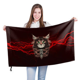 Флаг 3D с принтом Electro cat в Рязани, 100% полиэстер | плотность ткани — 95 г/м2, размер — 67 х 109 см. Принт наносится с одной стороны | cat | взгляд | кот | кот хипстер | котёнок | котятки | кошка | молния | мордочка | разряд | электричество