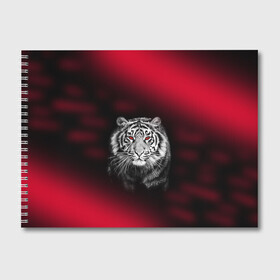 Альбом для рисования с принтом Тигр красные глаза в Рязани, 100% бумага
 | матовая бумага, плотность 200 мг. | Тематика изображения на принте:  хищник | багровый | большая кошка | глаза. красные | красный | кровавый | тигр