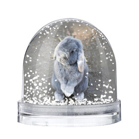 Водяной шар с принтом Кролик в Рязани, Пластик | Изображение внутри шара печатается на глянцевой фотобумаге с двух сторон | грызун | животные | заяц | кролик | мордочка | природа | пушистый | уши