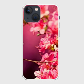 Чехол для iPhone 13 mini с принтом Сакура в Рязани,  |  | 3d | flower | nature | pink | sakura | весна | деревья | природа | розовый | сакура | цветы | япония