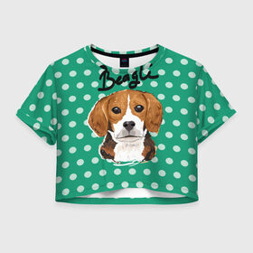 Женская футболка 3D укороченная с принтом Бигль в Рязани, 100% полиэстер | круглая горловина, длина футболки до линии талии, рукава с отворотами | beagle | арт | гончая | горошек | животное | кружочек | пес | собака | текстура