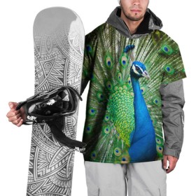 Накидка на куртку 3D с принтом Павлин в Рязани, 100% полиэстер |  | павлин | перо