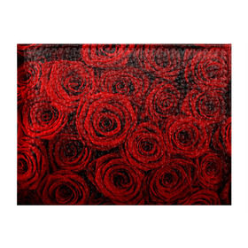 Обложка для студенческого билета с принтом Красные розы в Рязани, натуральная кожа | Размер: 11*8 см; Печать на всей внешней стороне | Тематика изображения на принте: букет | красный | розы | цветы