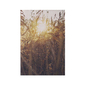 Обложка для паспорта матовая кожа с принтом Солнце во ржи в Рязани, натуральная матовая кожа | размер 19,3 х 13,7 см; прозрачные пластиковые крепления | Тематика изображения на принте: восход | закат | лучи | поле | природа | растения | рож | солнце | тепло