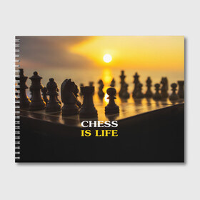 Альбом для рисования с принтом Шахматы - это жизнь в Рязани, 100% бумага
 | матовая бумага, плотность 200 мг. | chess | game | sport | гроссмейстер | закат | игра | интеллект | солнце | спорт | фигура | шахматист | шахматы