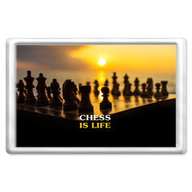 Магнит 45*70 с принтом Шахматы - это жизнь в Рязани, Пластик | Размер: 78*52 мм; Размер печати: 70*45 | chess | game | sport | гроссмейстер | закат | игра | интеллект | солнце | спорт | фигура | шахматист | шахматы