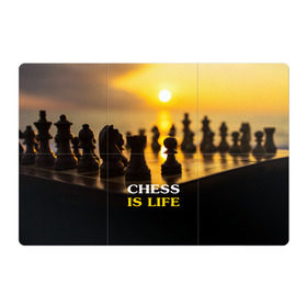 Магнитный плакат 3Х2 с принтом Шахматы - это жизнь в Рязани, Полимерный материал с магнитным слоем | 6 деталей размером 9*9 см | chess | game | sport | гроссмейстер | закат | игра | интеллект | солнце | спорт | фигура | шахматист | шахматы