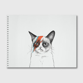 Альбом для рисования с принтом Grumpy cat (David Bowie) в Рязани, 100% бумага
 | матовая бумага, плотность 200 мг. | Тематика изображения на принте: бодиарт | грумпи | дэвид боуи | злой кот | интернет | котей | котик | кошка | мем | мемас | мемчик. | молния на лице | рисунок на лице | сердитый