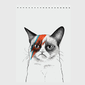 Скетчбук с принтом Grumpy cat (David Bowie) в Рязани, 100% бумага
 | 48 листов, плотность листов — 100 г/м2, плотность картонной обложки — 250 г/м2. Листы скреплены сверху удобной пружинной спиралью | Тематика изображения на принте: бодиарт | грумпи | дэвид боуи | злой кот | интернет | котей | котик | кошка | мем | мемас | мемчик. | молния на лице | рисунок на лице | сердитый