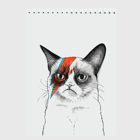 Скетчбук с принтом Grumpy cat (David Bowie) в Рязани, 100% бумага
 | 48 листов, плотность листов — 100 г/м2, плотность картонной обложки — 250 г/м2. Листы скреплены сверху удобной пружинной спиралью | бодиарт | грумпи | дэвид боуи | злой кот | интернет | котей | котик | кошка | мем | мемас | мемчик. | молния на лице | рисунок на лице | сердитый