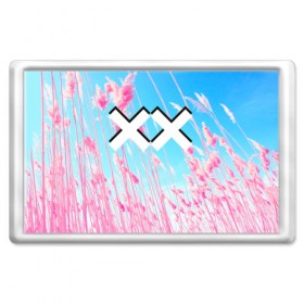 Магнит 45*70 с принтом The XX Pink в Рязани, Пластик | Размер: 78*52 мм; Размер печати: 70*45 | Тематика изображения на принте: 