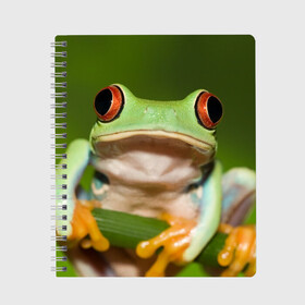 Тетрадь с принтом Лягушка в Рязани, 100% бумага | 48 листов, плотность листов — 60 г/м2, плотность картонной обложки — 250 г/м2. Листы скреплены сбоку удобной пружинной спиралью. Уголки страниц и обложки скругленные. Цвет линий — светло-серый
 | frog | жаба | животные | зеленый | ква | лягуха | лягушка | лягушонок