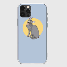 Чехол для iPhone 12 Pro Max с принтом Сфинкс в Рязани, Силикон |  | киса домашние животные | кот | котик | коты | кошка | кошки