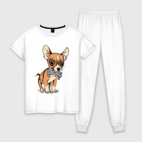 Женская пижама хлопок с принтом Чихуахуа с бабочкой в Рязани, 100% хлопок | брюки и футболка прямого кроя, без карманов, на брюках мягкая резинка на поясе и по низу штанин | домашние животные | пес | песик | собака | собачка | чихуахуа