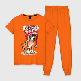 Женская пижама хлопок с принтом Чихуахуа в шапочке в Рязани, 100% хлопок | брюки и футболка прямого кроя, без карманов, на брюках мягкая резинка на поясе и по низу штанин | домашние животные | пес | песик | собака | собачка | чихуахуа