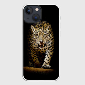 Чехол для iPhone 13 mini с принтом Leopard в Рязани,  |  | дикая кошка | зверь | клыки | кот | леопард | оскал | пантера | природа | хищник | ягуар