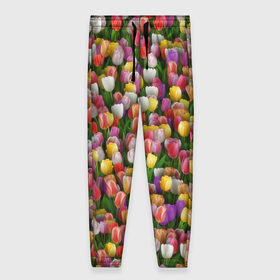 Женские брюки 3D с принтом Разноцветные тюльпаны в Рязани, полиэстер 100% | прямой крой, два кармана без застежек по бокам, с мягкой трикотажной резинкой на поясе и по низу штанин. В поясе для дополнительного комфорта — широкие завязки | 8 марта | tulip | белый | букет | желтый | зеленый | красный | паттерн | розовый | тюльпан | тюльпанчики | цветок | цветочки | цветы