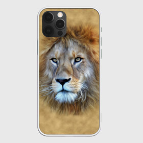 Чехол для iPhone 12 Pro с принтом Лев в Рязани, силикон | область печати: задняя сторона чехла, без боковых панелей | голова | животные | кошка | лев | львица | природа | хищник