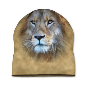 Шапка 3D с принтом Лев в Рязани, 100% полиэстер | универсальный размер, печать по всей поверхности изделия | голова | животные | кошка | лев | львица | природа | хищник