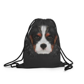 Рюкзак-мешок 3D с принтом Cavalier King Charles в Рязани, 100% полиэстер | плотность ткани — 200 г/м2, размер — 35 х 45 см; лямки — толстые шнурки, застежка на шнуровке, без карманов и подкладки | голова | собака | спаниель