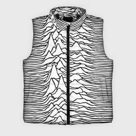 Мужской жилет утепленный 3D с принтом White в Рязани,  |  | ian curtis | joy division | rock | unknown pleasures | иэн кёртис | рок