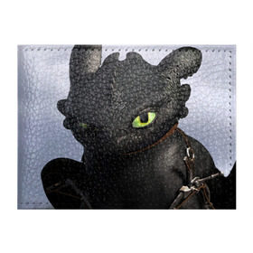 Обложка для студенческого билета с принтом как приручить дракона в Рязани, натуральная кожа | Размер: 11*8 см; Печать на всей внешней стороне | how to train your dragon | беззубик | дракон | как приручить дракона | ночная фурия