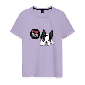 Мужская футболка хлопок с принтом Я люблю Бостон Терьер в Рязани, 100% хлопок | прямой крой, круглый вырез горловины, длина до линии бедер, слегка спущенное плечо. | Тематика изображения на принте: boston | бостон терьер | с собакой | собака | собаки | собачка | я люблю