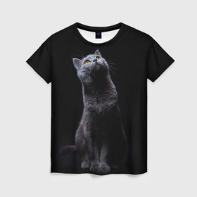 Женская футболка 3D с принтом Милый котик в Рязани, 100% полиэфир ( синтетическое хлопкоподобное полотно) | прямой крой, круглый вырез горловины, длина до линии бедер | кот | котенок | кошка | милый | пушистый | черный