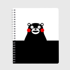 Тетрадь с принтом KUMAMON в Рязани, 100% бумага | 48 листов, плотность листов — 60 г/м2, плотность картонной обложки — 250 г/м2. Листы скреплены сбоку удобной пружинной спиралью. Уголки страниц и обложки скругленные. Цвет линий — светло-серый
 | Тематика изображения на принте: japanese | kumamon | kumamoto | аниме | игрушка | кумамон | кумамото сапурайдзу | персонаж | талисман | япония