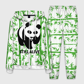 Мужской костюм 3D с принтом Still Alive в Рязани, 100% полиэстер | Манжеты и пояс оформлены тканевой резинкой, двухслойный капюшон со шнурком для регулировки, карманы спереди | alive | bamboo | green | greenpeace | panga | peace | still | бамбук | грин | гринпис | живая | живой | зеленый | мир | панда | панды | пис