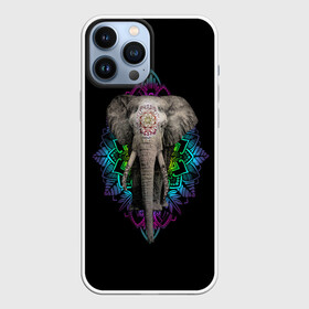 Чехол для iPhone 13 Pro Max с принтом Индийский Слон в Рязани,  |  | africa | elephant | elephants | india | ornament | pattern | skin | tusks | африка | бивни | индия | кожа | орнамент | слон | слоненок | слоник | слоники | слоны | слонята | узор | хобот