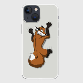 Чехол для iPhone 13 mini с принтом Лис Вцепился в Рязани,  |  | cute | fox | foxes | ginger | tail | вцепился | забавная | капаркается | лис | лиса | лисица | лисицы | лисичка | лисички | лисы | милая | рыжая | рыжие | смешная | фыр | хвост | хвосты