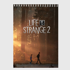 Скетчбук с принтом Life is Strange 2 в Рязани, 100% бумага
 | 48 листов, плотность листов — 100 г/м2, плотность картонной обложки — 250 г/м2. Листы скреплены сверху удобной пружинной спиралью | adventure | life | life is strange | road | video game | дороги | жизнь | закат | квест | лес | приключения